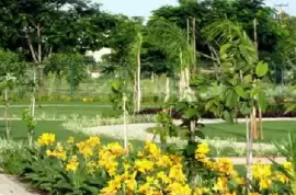 PC Paradise, Attibele