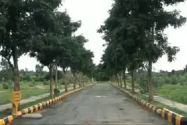 PC Paradise, Attibele