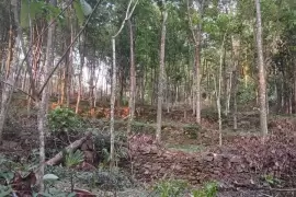 Agricultural Land for Sale near Ponkunnam, Ponkunnam, Kottayam, Kottayam