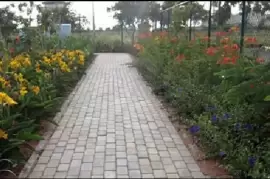 PC Paradise, Bengaluru