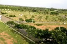 PC Paradise, Bengaluru