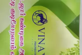 Vijaya grand town, Chennai