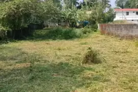 Commerical Land for sale in Puzhakkal, main road,Thrissur., Thrissur, 20 Cent